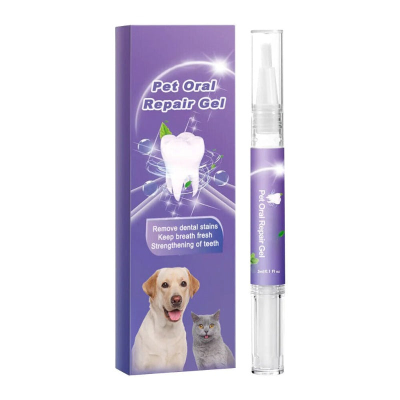 Droome™ Fresh Smile Pet Gel